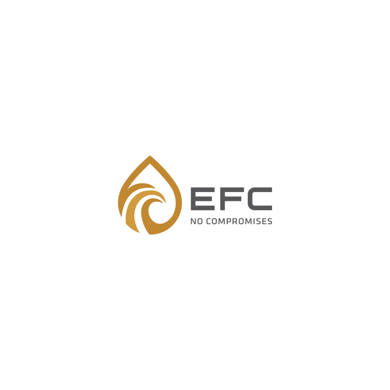 EFC - Разработка Логотипа Топливной компании