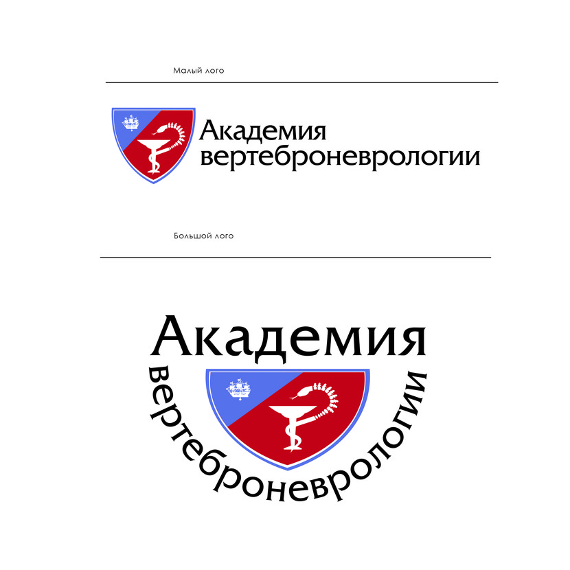 Доработку под Ваши вкусы гарантирую - Разработка логотипа для Академии вертеброневрологии (Санкт-Петербург)