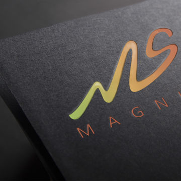 Логотип для компании МАГНУС (продажа с/х продукции)