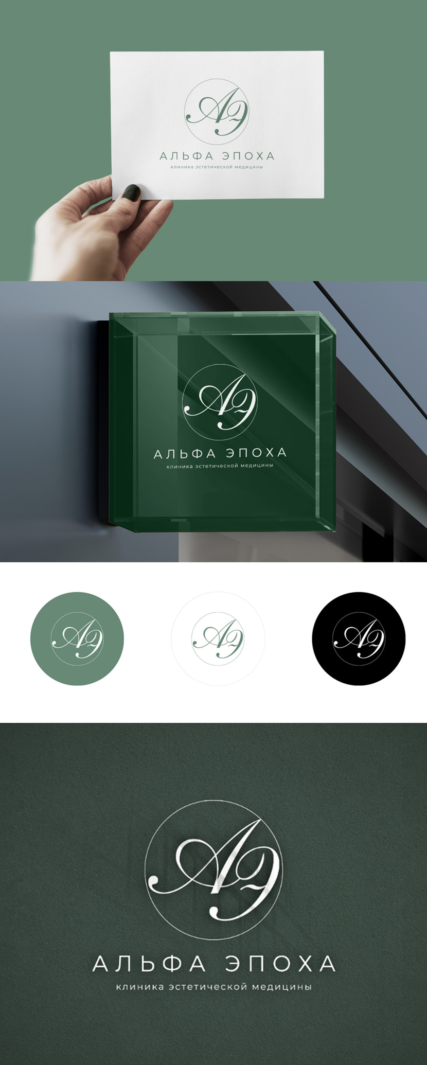 Лого и начертание названия для клиники эстетической медицины  -  автор Ольга Баева