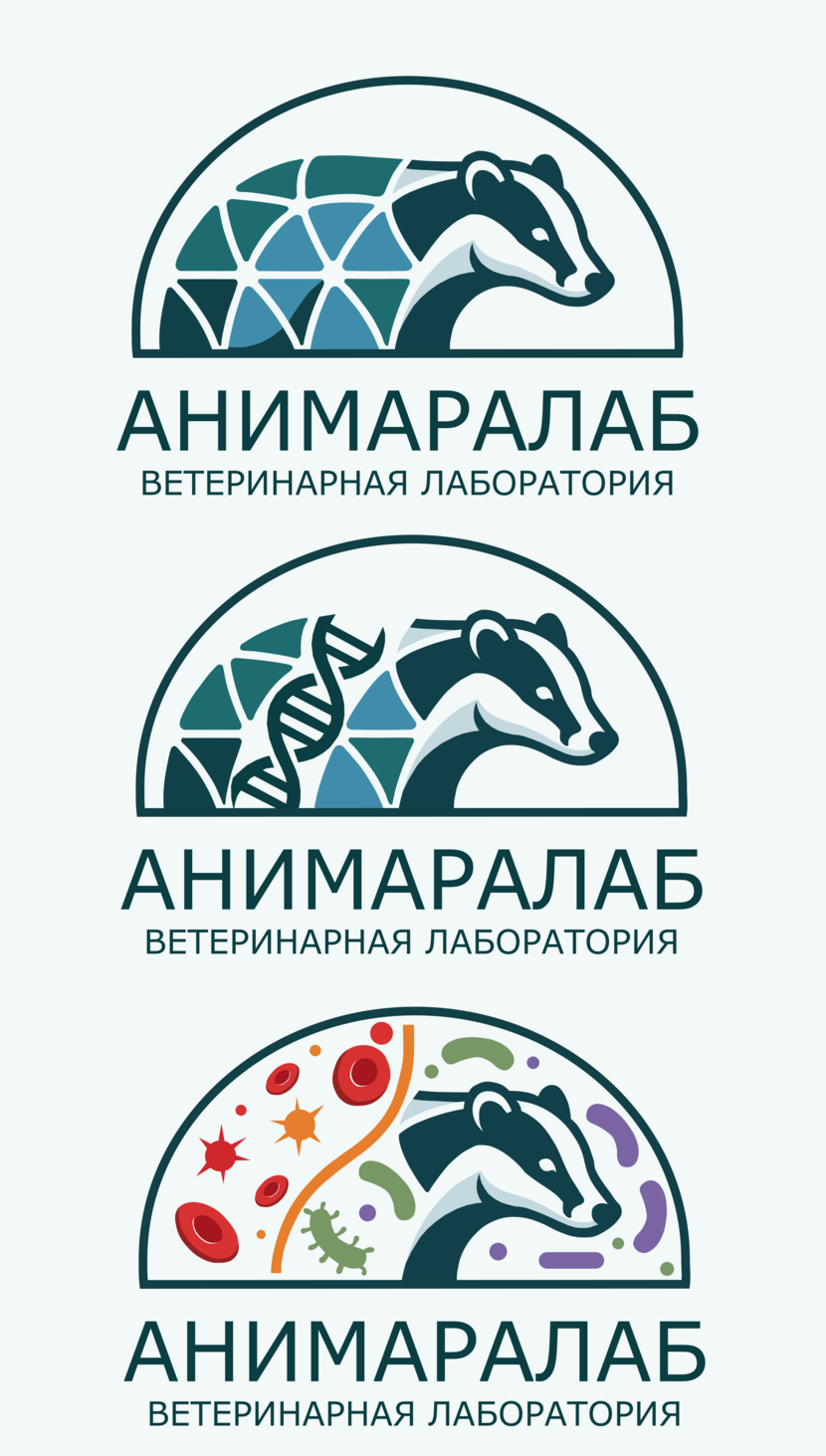 Первый вариант «АнимараЛаб» — профессиональная доводка логотипа по существующему эскизу