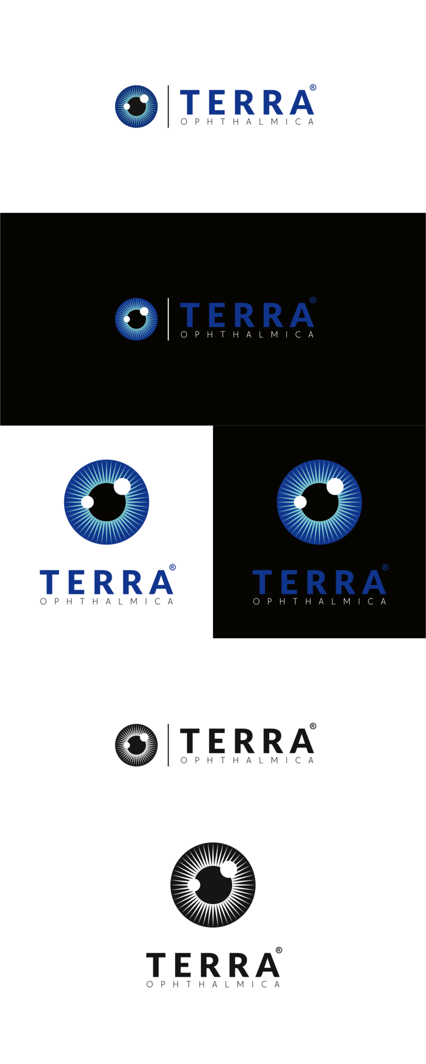 С удовольствием! Вариант с корректировками + ч/б))) - Логотип для офтальмологического сообщества "Терра-Офтальмика"