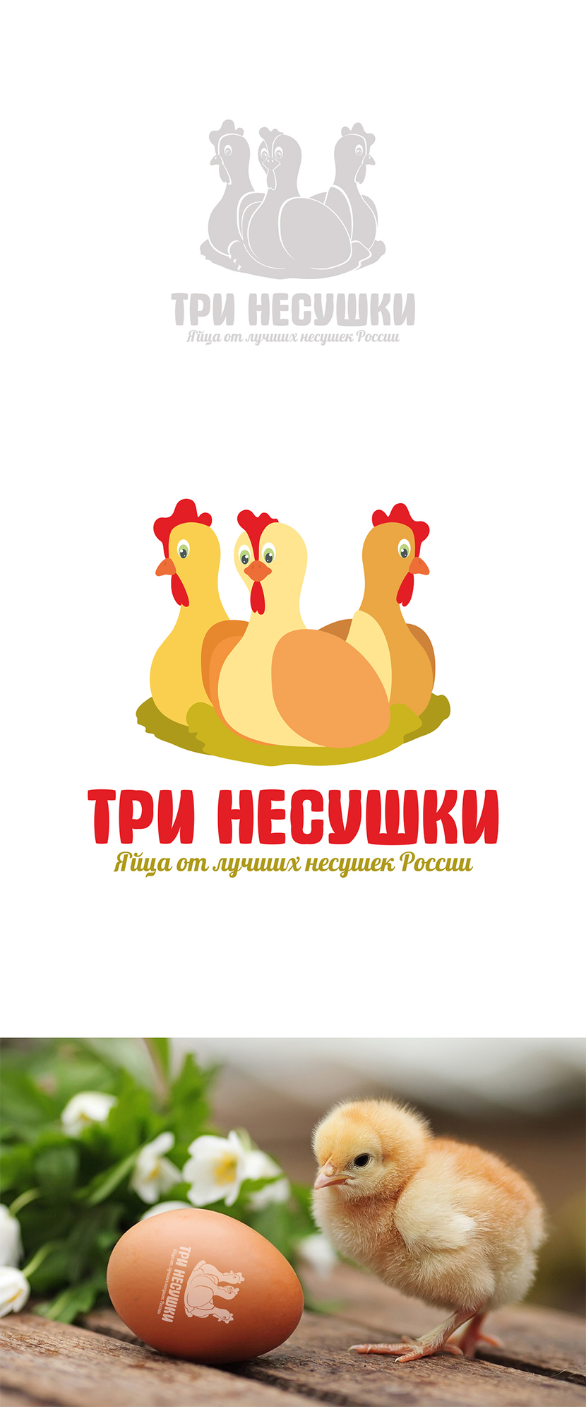 + - Разработка логотипа и фирменного стиля для нового бренда куриных яиц "Три несушки"