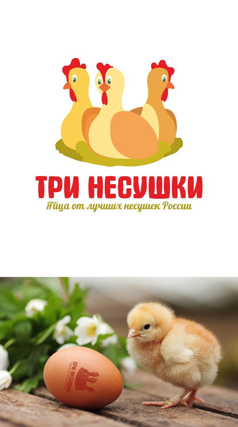 ++ - Разработка логотипа и фирменного стиля для нового бренда куриных яиц "Три несушки"