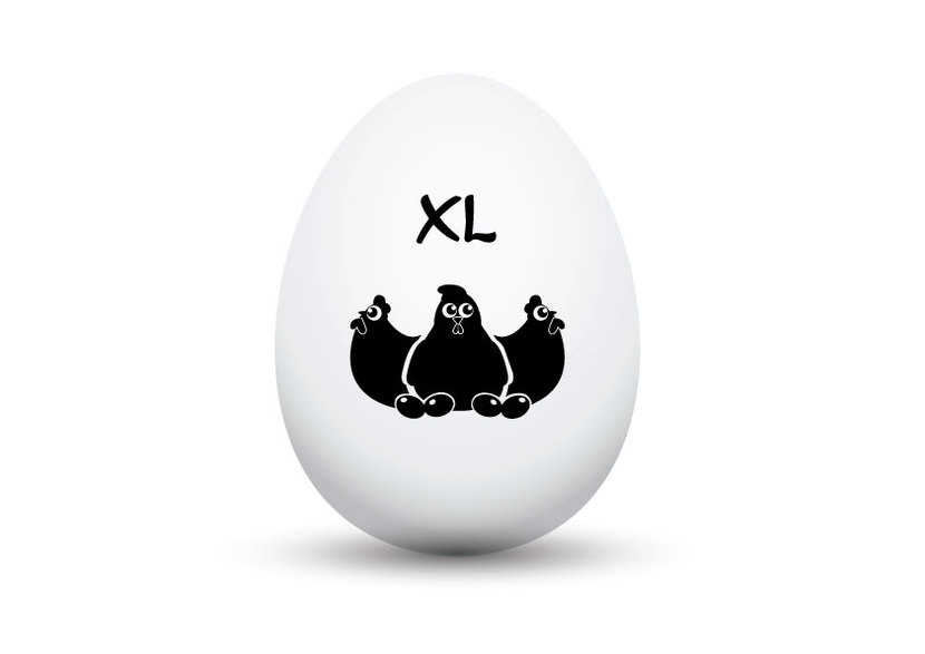 2 - Разработка логотипа и фирменного стиля для нового бренда куриных яиц "Три несушки"