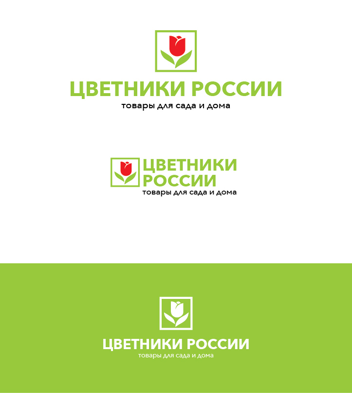 Разработать логотип для компании  -  автор Maria Anisimova