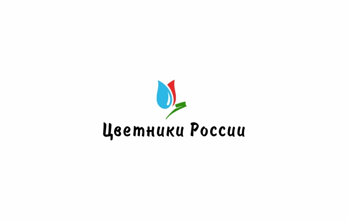 С помощью своего листика тюльпан образует первую букву названия - Ц - Разработать логотип для компании