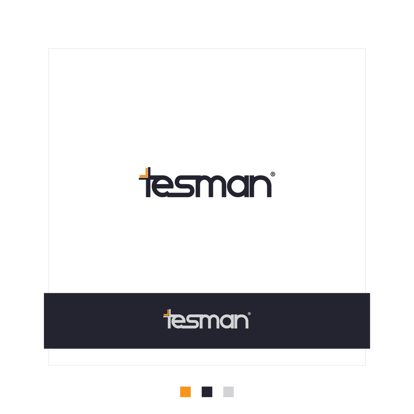 Tesman Разработка логотипа компании Tesman