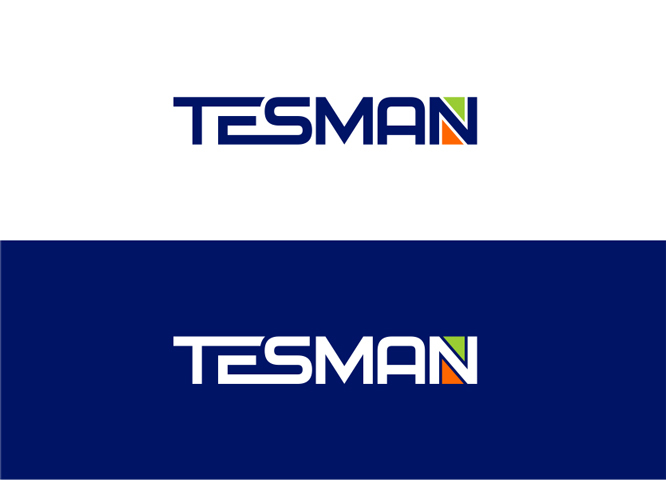 Tesman - Разработка логотипа компании Tesman
