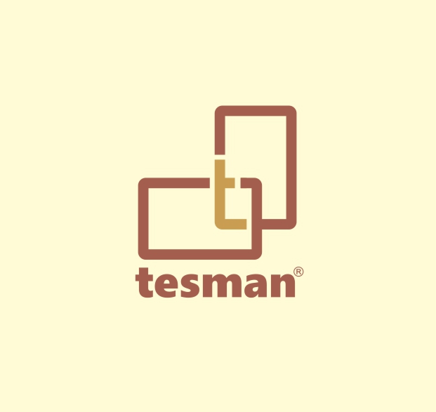 101 - Разработка логотипа компании Tesman