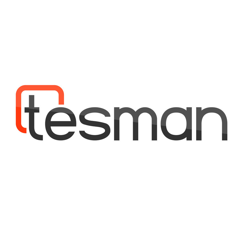 Блик - Разработка логотипа компании Tesman