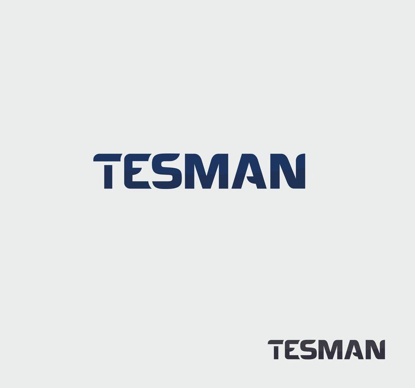 лого - Разработка логотипа компании Tesman