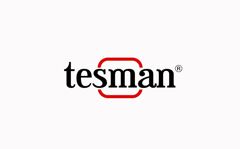 Разработка логотипа компании Tesman  -  автор Fanat Art