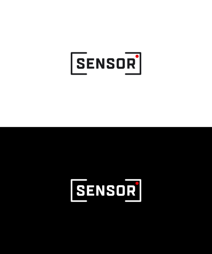 +++ - Разработка фирменного логотипа для нового бренда видеокамер и профессиональных систем видеонаблюдения