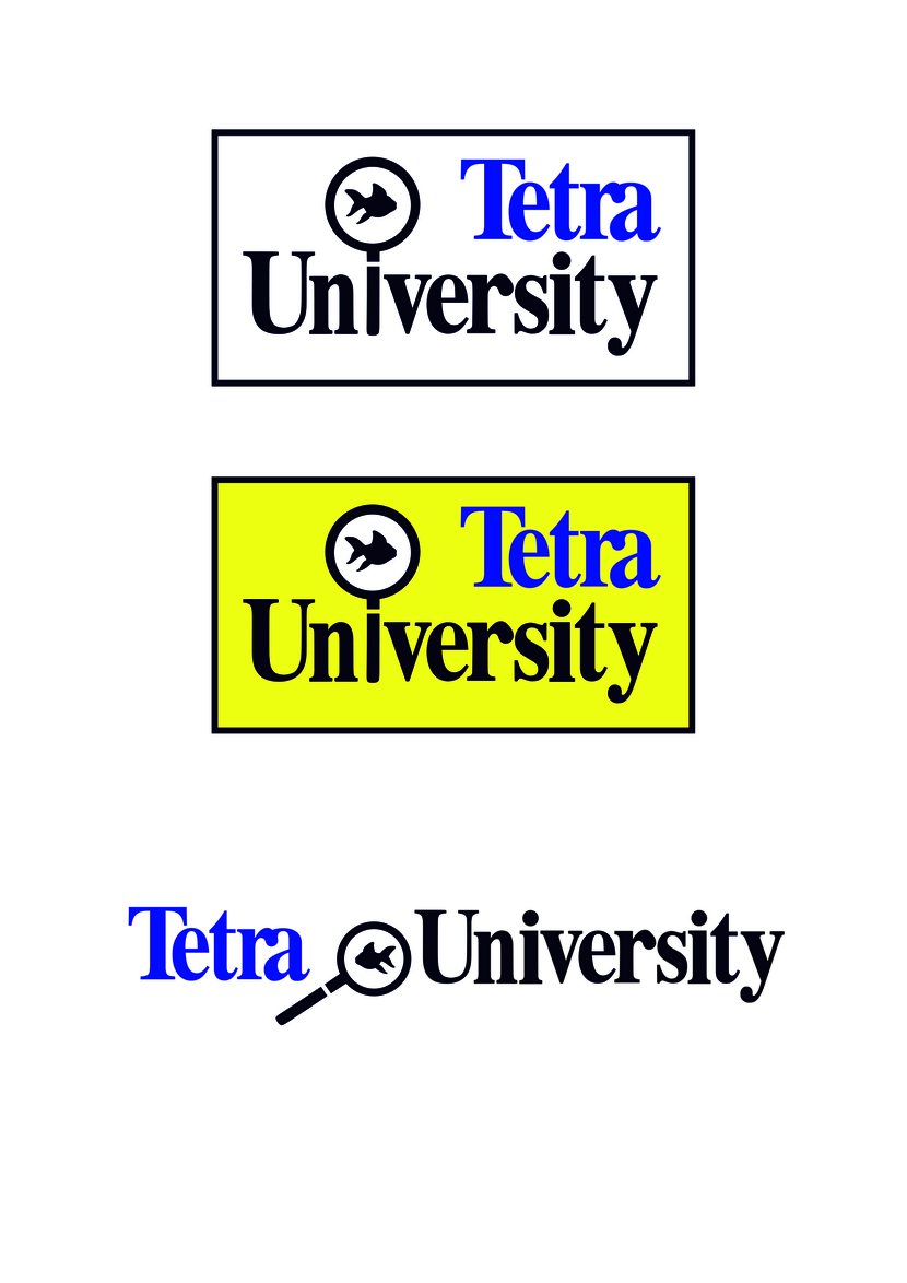 Еще несколько вариаций на эту тему - Tetra University