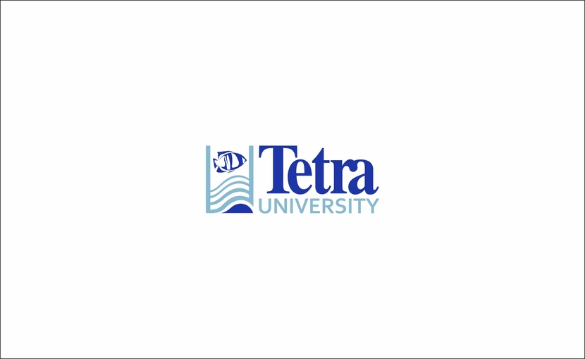 Добрый день. Предлагаю вашему вниманию свою работу. - Tetra University