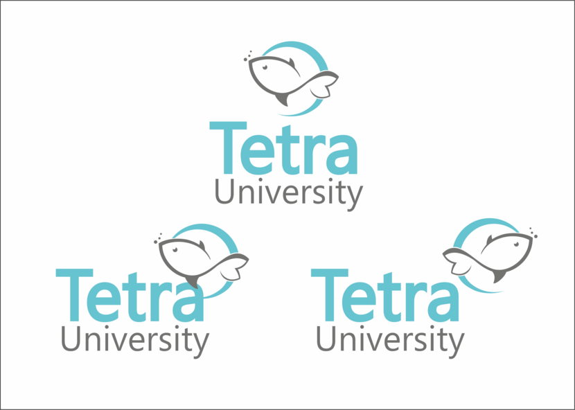 + - Tetra University