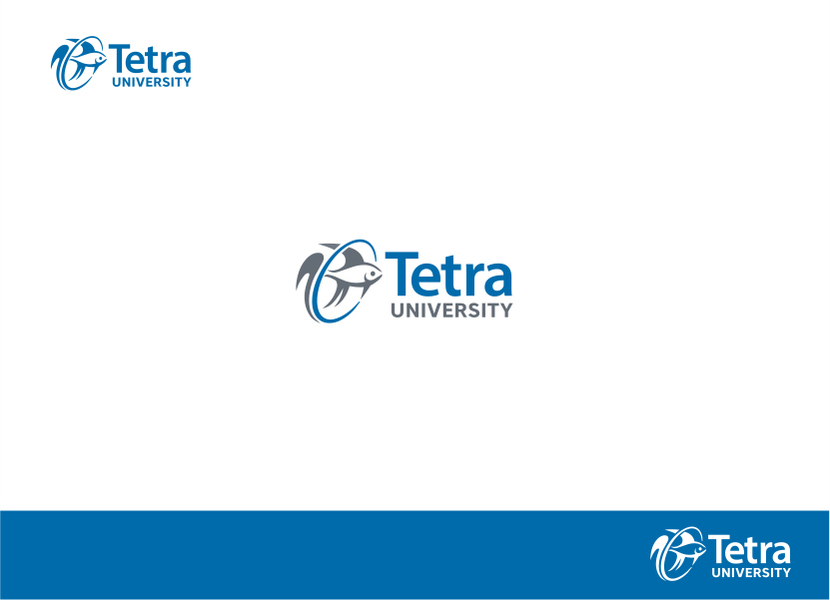 + - Tetra University