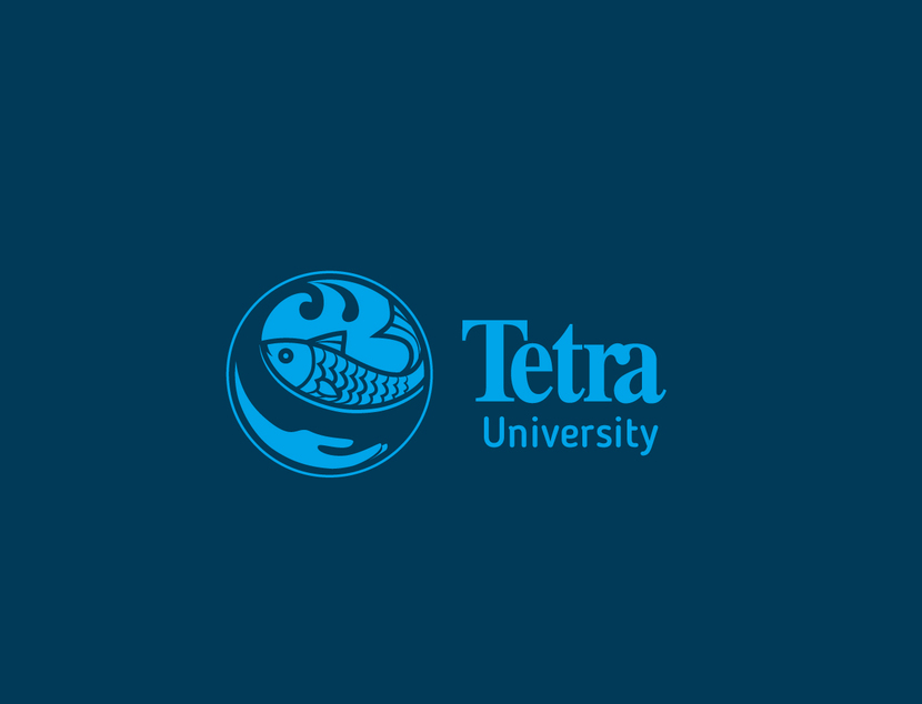 вариант - Tetra University