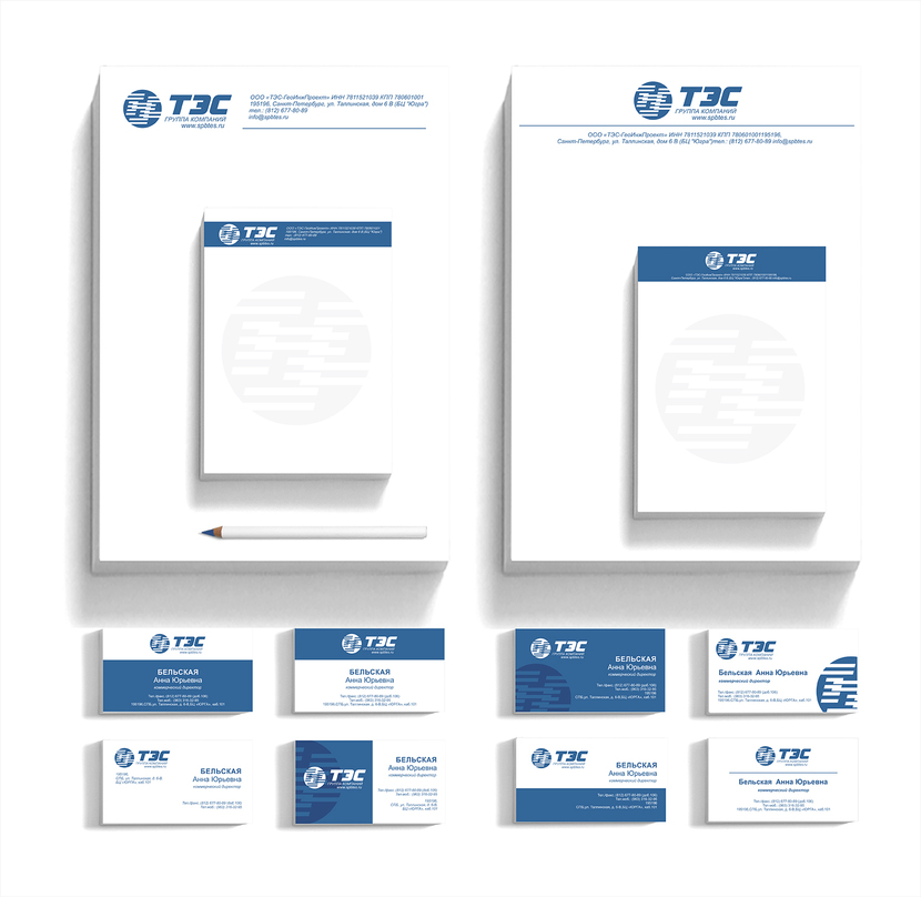 Доработка логотипа и создание на его основе фирменного стиля для группы компаний "ТЭС"  работа №565280