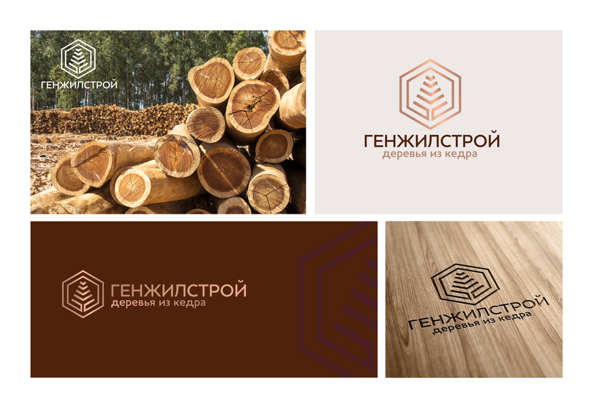 вариант 1 - Создание логотипа и фирменного стиля для строительной компании (изготовление деревянных домов)