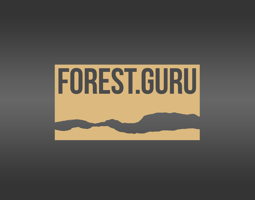 1 - Разработка логотипа для forest.guru