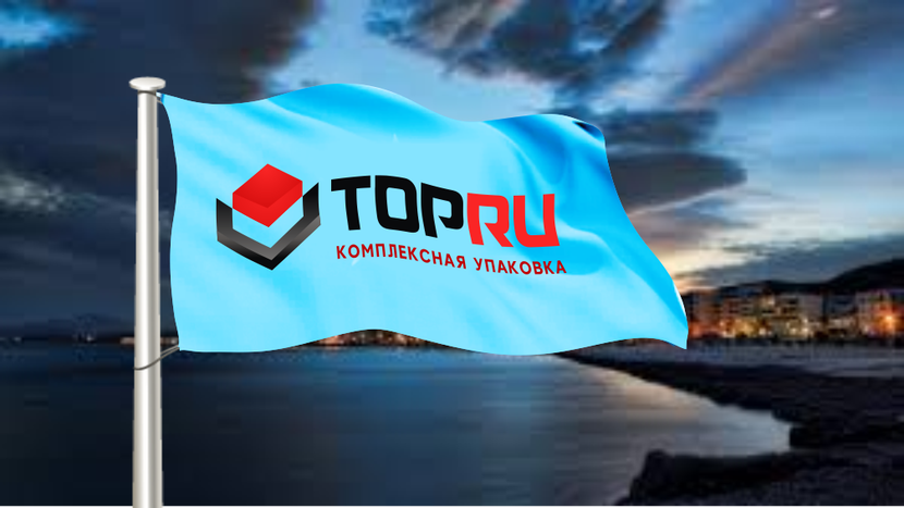 + Разработка логотипа и фирменого стиля компании TopRu