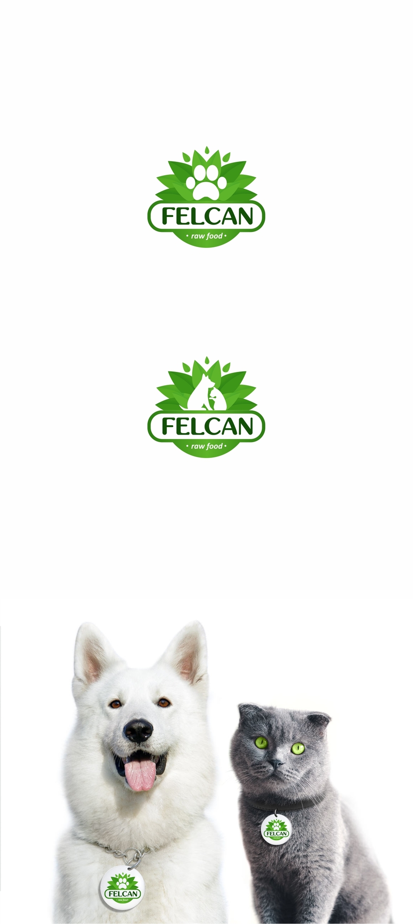 такой вот логотип.. можно с лапкой сделать или с самими животными.  Легкий, свежий, экологичный..  легко вписывается в круг, что делает его удобным в использовании на значках, брелках и др. сувенирной продукции, а также для использования на сайте в виде иконки - Разработка логотипа и ФС для компании, производящей здоровое питание для собак и кошек, разработанное по системе BARF.