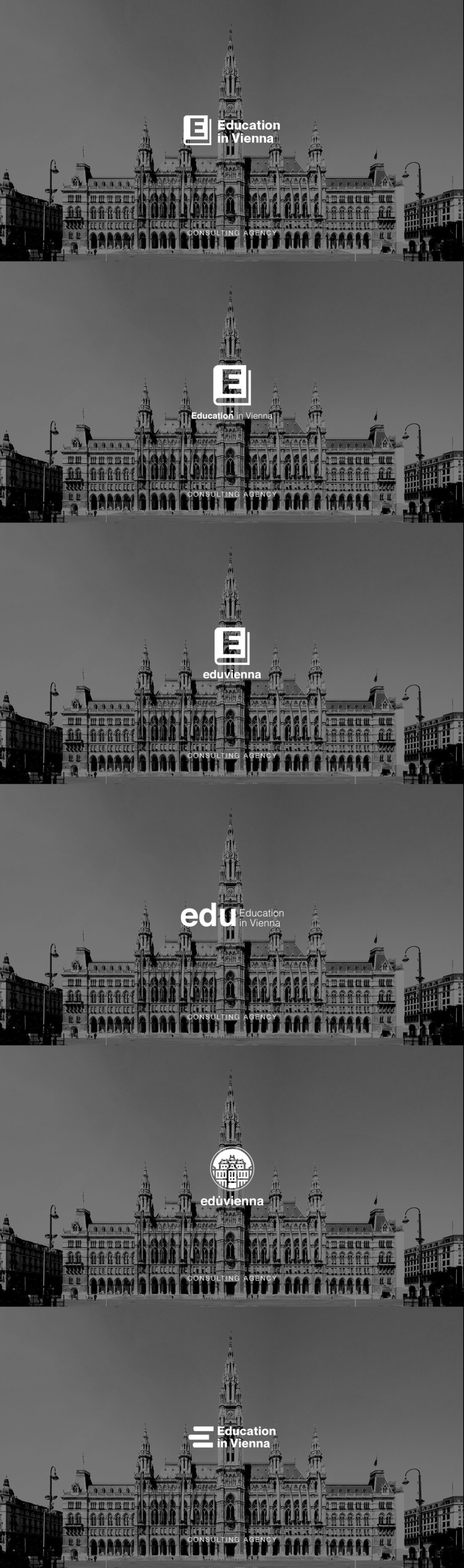 Education in Vienna Prototypes Логотип и фирменный стиль для образовательной компании