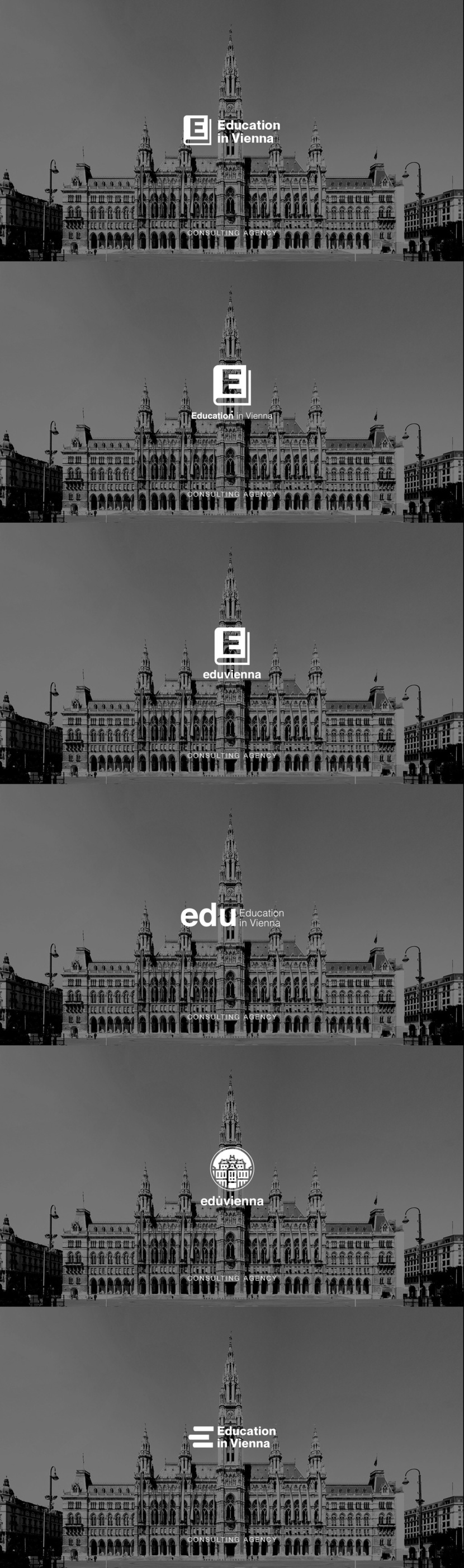 Education in Vienna Prototypes Логотип и фирменный стиль для образовательной компании