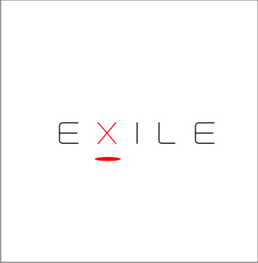 1 - Разработка логотипа и фирменного стиля EXILE