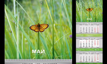 Дизайн-макет квартального календаря
