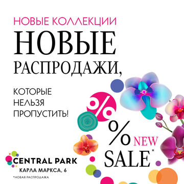новая коллекция