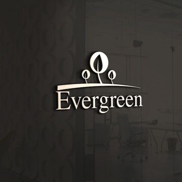 Логотип для компании по ландшафтному поливу &quot;Evergreen&quot;