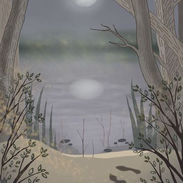лунная ночь