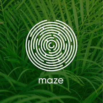 Логотип MAZE