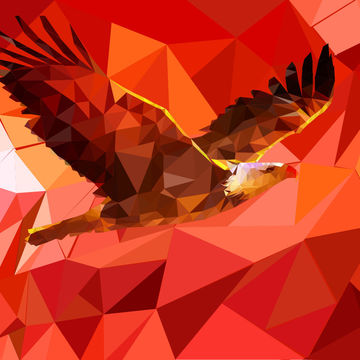 Eagle low poly