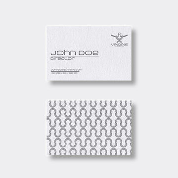 Vingine Logo and identity