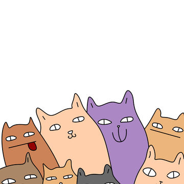 Котики
