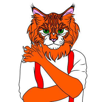 Кот