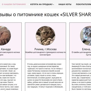 Сайт http://silversharm.ru/