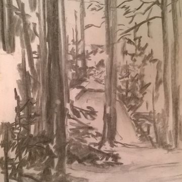 Зарисовка. Стоянка в лесу. цв. карандаш, бумага