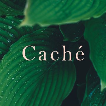 Логотип для бренда пляжной одежды Cache