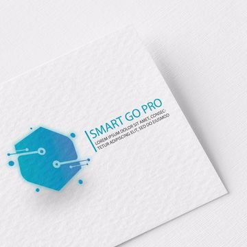 Smart go pro