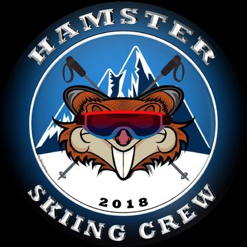 Логотип для любительской команды горнолыжников, по ТЗ клиента