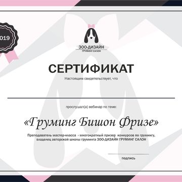 Сертификат грумера