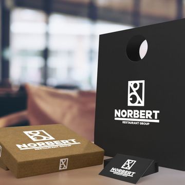 Concept for Norbert #1
