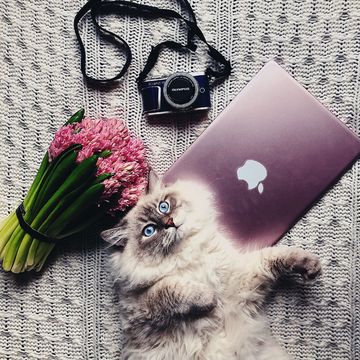 Flatlay на заказ
