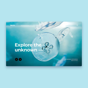 Landing Page.