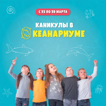 Разработка баннера для Океанариума